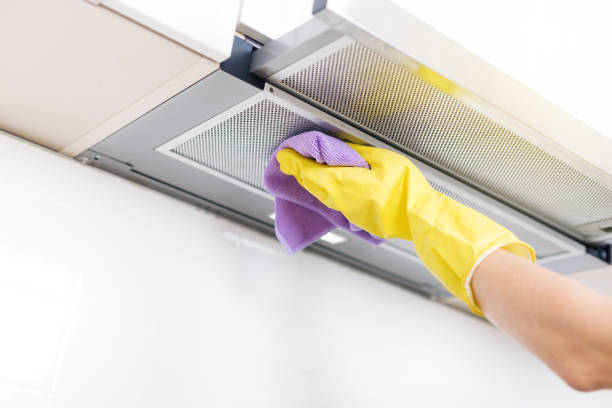 Best Air Duct Mold Removal  in USA